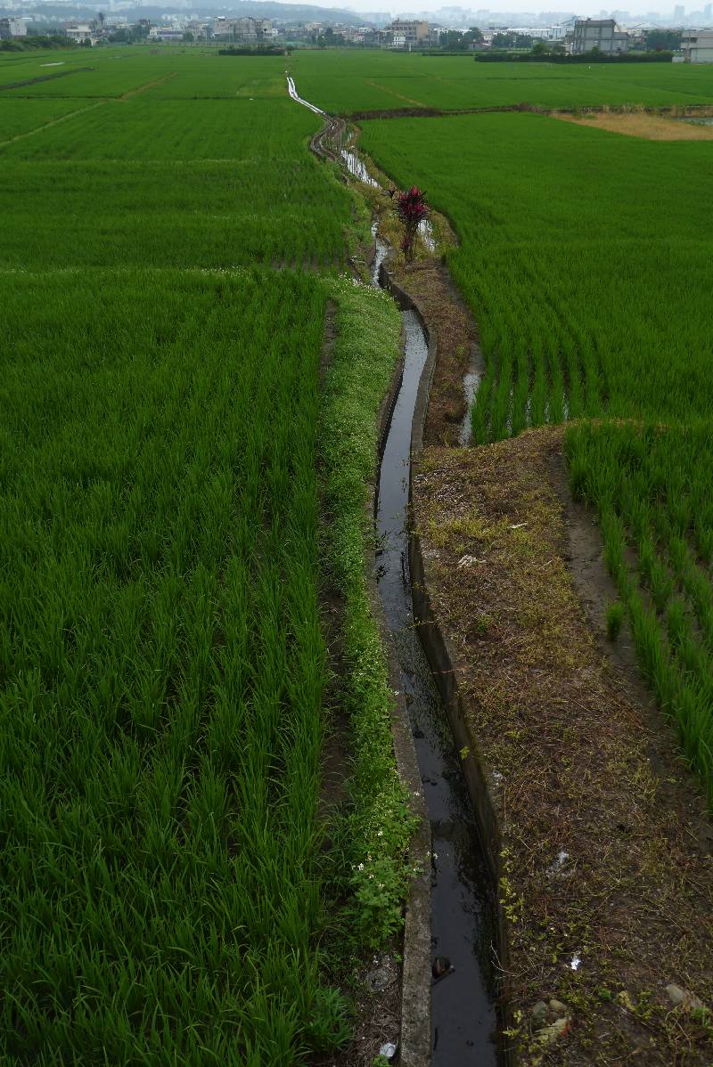 農村景觀組